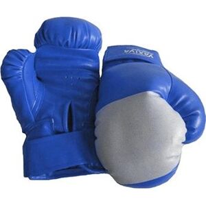 SEDCO Box rukavice TG12P 12OZ modrá